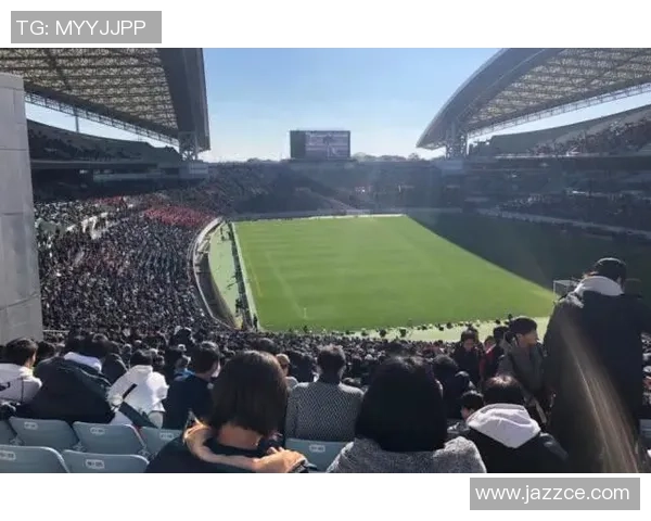 探索wffc足球的崛起之路与未来发展潜力分析